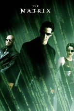 The-Matrix-Poster-MyPosterCollection.com-14-667x1001